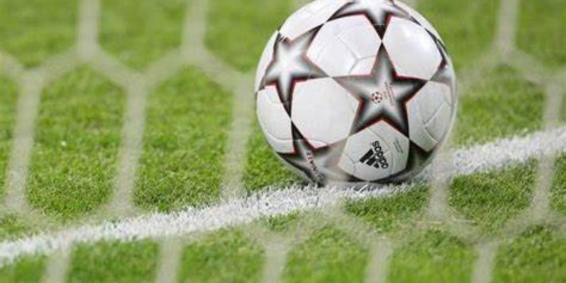 Mọi thắc mắc của người chơi mới sẽ được giải đáp tại Kingbet